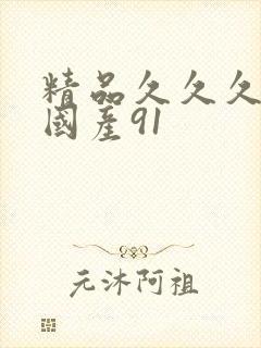 精品久久久久久国产91