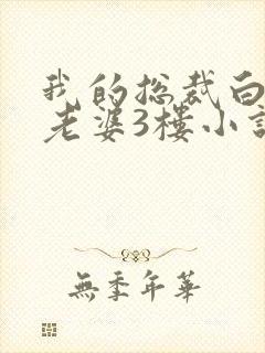 我的总裁白富美老婆3楼小说免费版