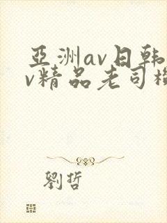 亚洲av日韩av精品老司机