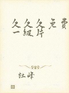 久久久免费观看一级片