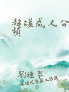 超碰成人公开视频