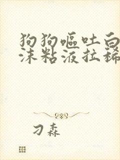 狗狗呕吐白色泡沫粘液拉稀