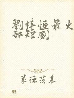 刘梓恒最火的三部短剧