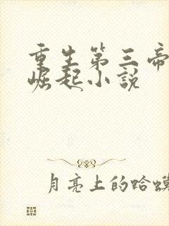 重生第三帝国的崛起小说