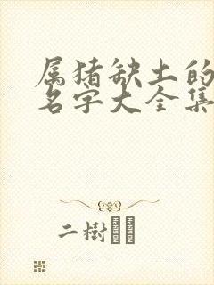 属猪缺土的男孩名字大全集