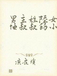 男主姓陆女主叫他叔叔的小说