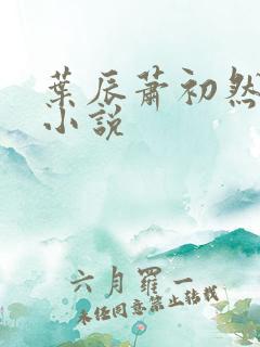 叶辰萧初然叶辰小说