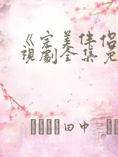 《完美伴侣》电视剧全集免费观看