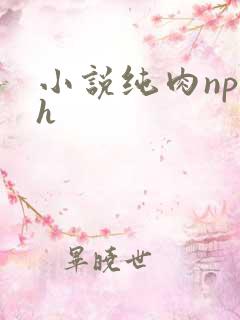 小说纯肉np高h
