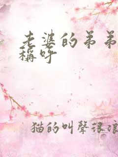 老婆的弟弟怎么称呼