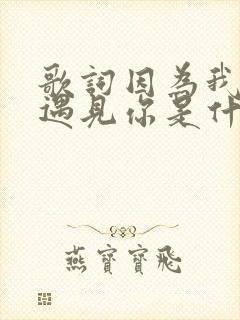 歌词因为我刚好遇见你是什么歌