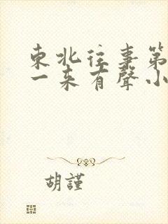 东北往事第2部一来有声小说