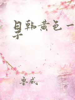 日韩黄色一级片子