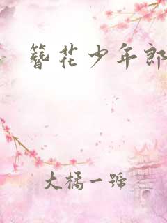 簪花少年郎空留