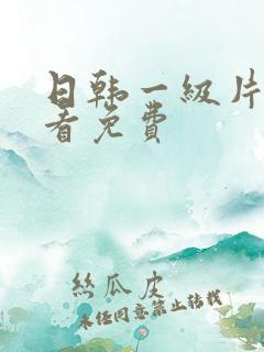 日韩一级片在线看免费