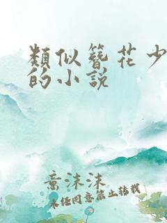 类似簪花少年郎的小说