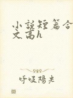 小说短篇合集爽文高h