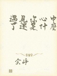 遇见你心中就着了迷是什么歌