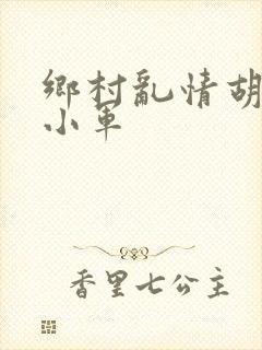 乡村乱情胡秀英小军