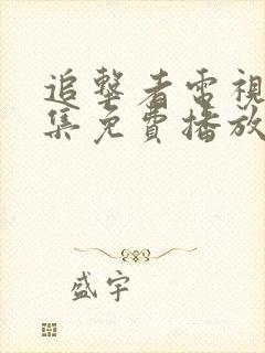 追击者电视剧全集免费播放高清