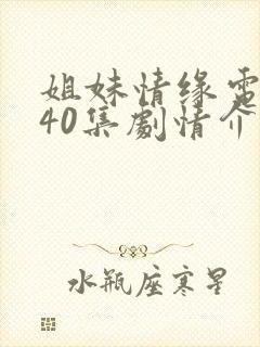 姐妹情缘电视剧40集剧情介绍