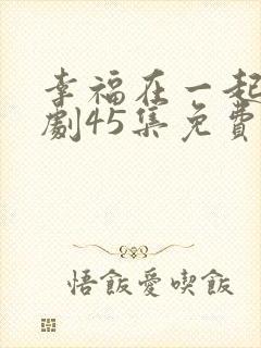 幸福在一起电视剧45集免费观看