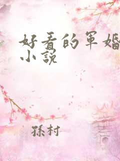 好看的军婚言情小说