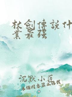 杖剑传说什么职业最强