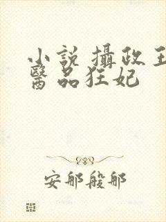 小说 摄政王的医品狂妃