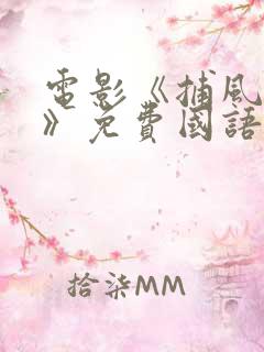 电影《捕风追影》免费国语播放