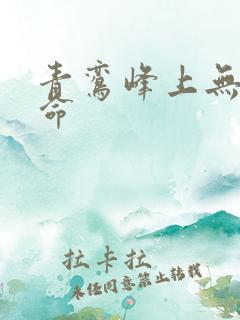 青鸾峰上无敌天命