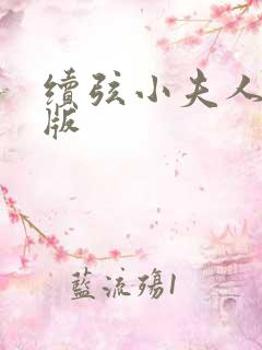 续弦小夫人最新版