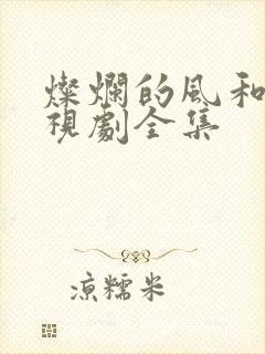 灿烂的风和海电视剧全集