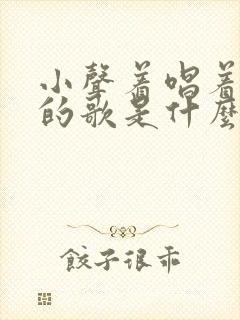 小声着唱着我们的歌是什么歌