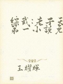 综武:老子天下第一小说免费阅读朱寿