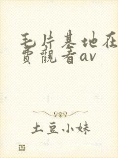 毛片基地在线免费观看av