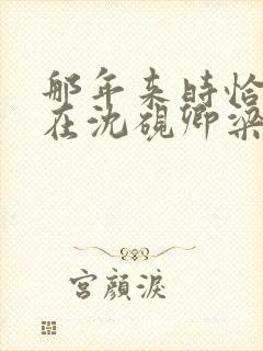 那年来时恰逢你在沈砚卿梁明昭小说