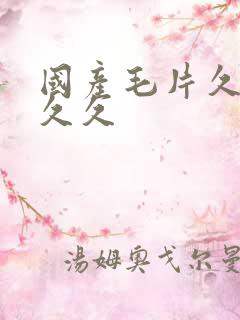 国产毛片久久久久久