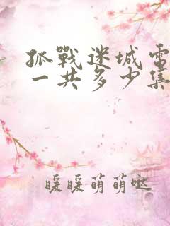 孤战迷城电视剧一共多少集