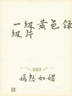 一级黄色录像一级片