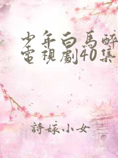 少年白马醉春风电视剧40集