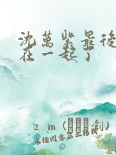 沈万紫最后和谁在一起了