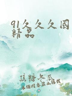 91久久久国产精品