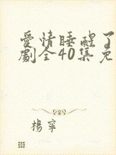 爱情睡醒了电视剧全40集免费观看