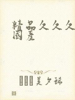 精品久久久久久国产