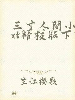 三寸人间小说txt精校版下载