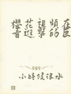 樱花视频在线观看进击的巨人第三季