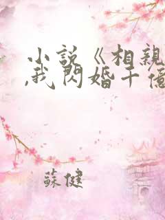 小说《相亲当天,我闪婚千亿富豪》