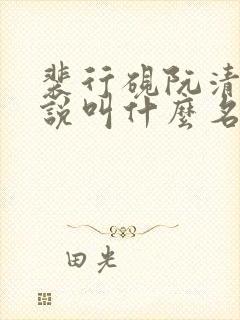 裴行砚阮清莞小说叫什么名字