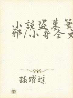 小说盗墓笔记吴邪/小哥全文在线阅读